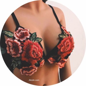 Embroidery in lingerie