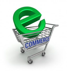 image-ecommerce-2013