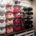 bra cups at showcase racks enamor store , oberoi mall