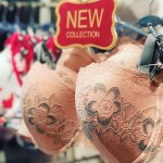 new bra cups collection at enamor store at oberoi mall