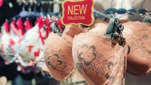 new bra cups collection at enamor store at oberoi mall