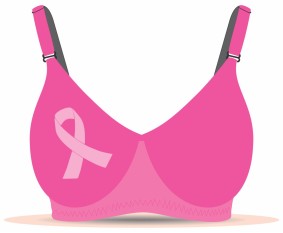 bra for breast cancer survivors